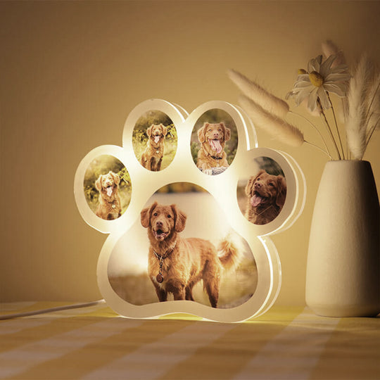 Dog Paw Night Light Personalized 5 Photos 3D Lamp