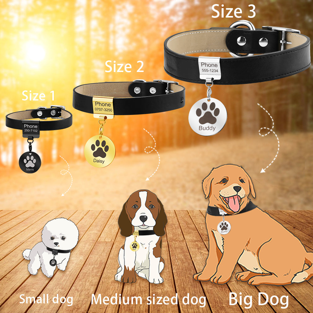 Personalized Dog Collar Engraved Custom Address or Phone Number Prevent Loss