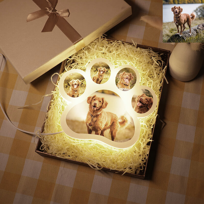 Dog Paw Night Light Personalized 5 Photos 3D Lamp