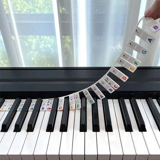 Removable Piano Keyboard Note Labels For Piano Beginners