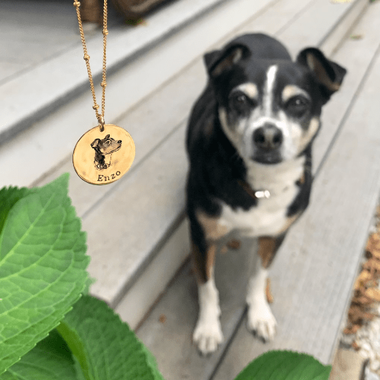Personalized Actual Pet Portrait Necklace Necklace MelodyNecklace