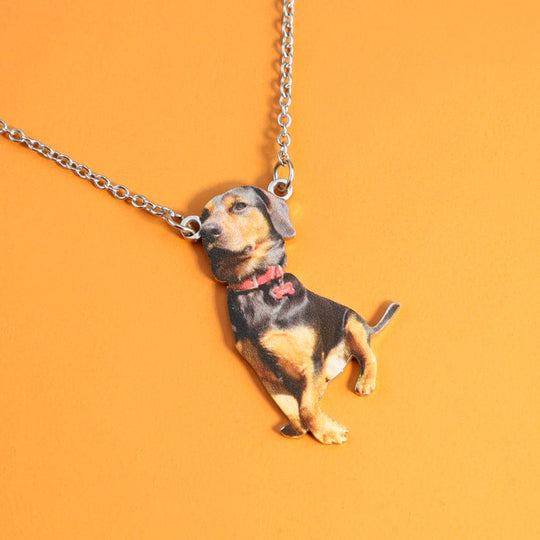 Personalized Coloured Pet's Photo Necklace Necklace MelodyNecklace