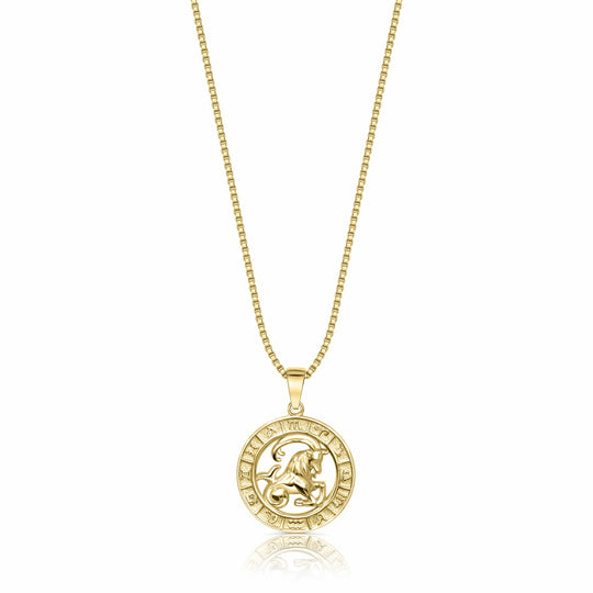 Zodiac Constellation Coin Necklace Capricorn / 14KT Gold Vermeil Necklace MelodyNecklace