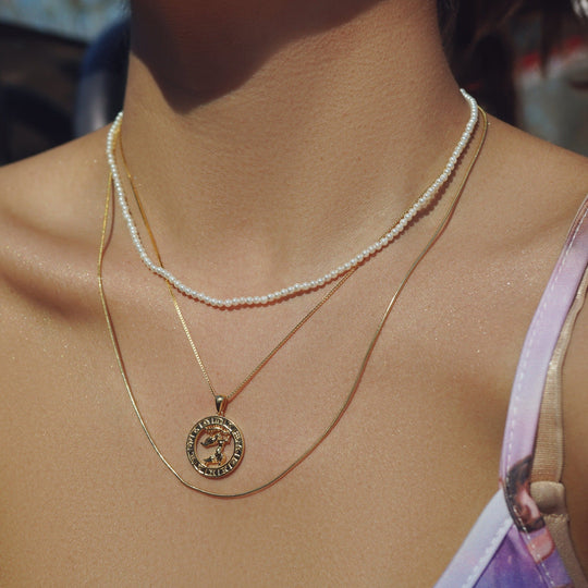 Zodiac Constellation Coin Necklace Necklace MelodyNecklace