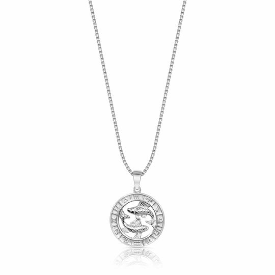 Zodiac Constellation Coin Necklace Pisces / 925 Sterling Silver Necklace MelodyNecklace